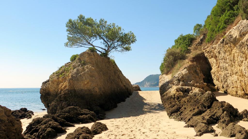 Apartamento Troino Setúbal Dış mekan fotoğraf